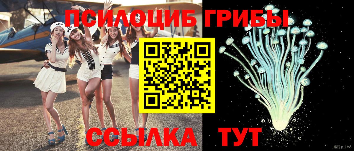 Галлюциногенные грибы мухоморы  Вход с VPN  Стрежевой 