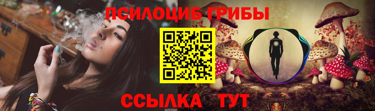 Псилоцибиновые грибы Cubensis Стрежевой